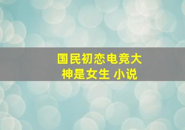 国民初恋电竞大神是女生 小说